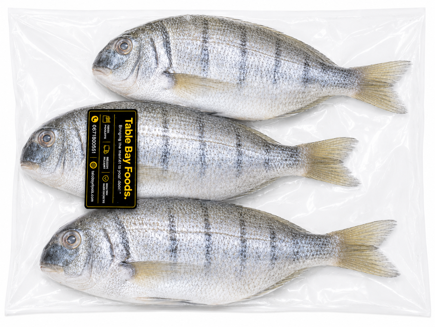 1.2 kg
