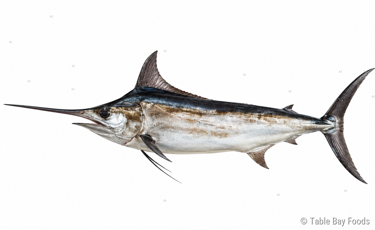 Swordfish